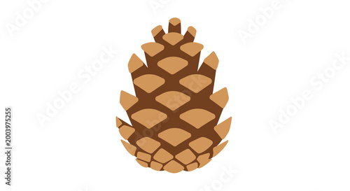 pine cone vector illustration on white background