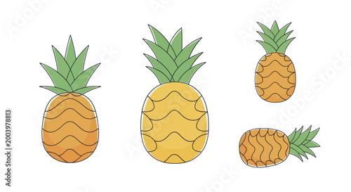Collection of Fresh Tropical Pineapples with Green Leaves.