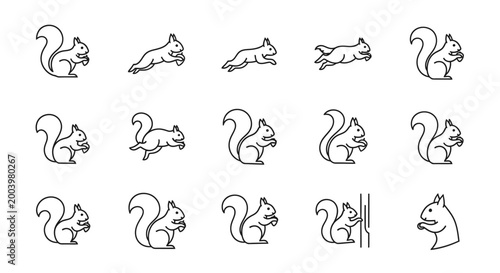 Photos Squirrel outline icons set poses of running eating and resting