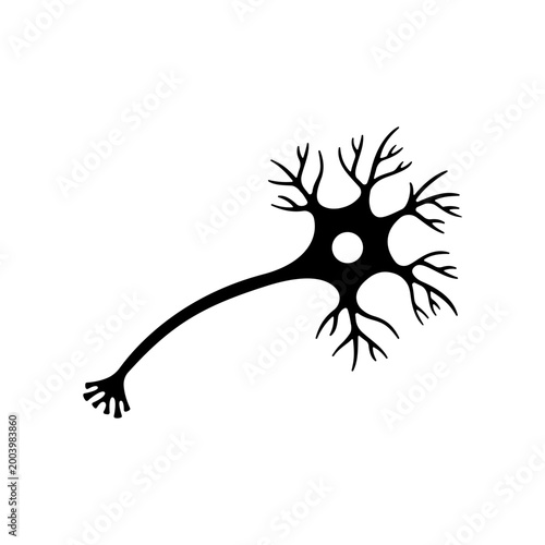 Bild auf Leinwand Neuron cell body with dendrites.