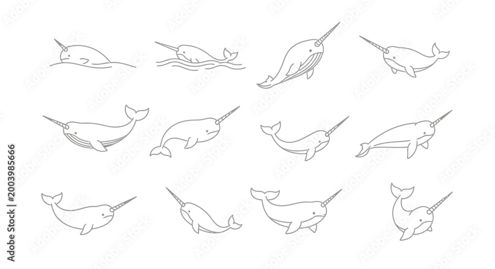 Fototapeta premium Stylized narwhal illustrations in various poses on white background