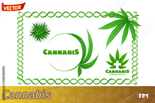 cannabis marijuana leaf medicinal drug legalization set icons vector illustration