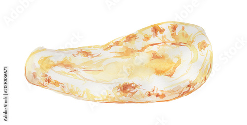 Watercolor illustration of naan on transparent background