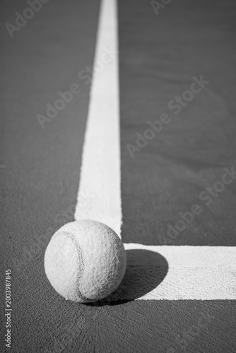 Quadro su tela Tennis ball on court line in black and white