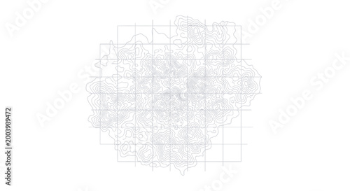 Topographic Map Contour Lines Grid White Background