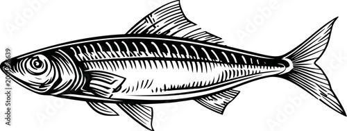 Detailed black and white illustration of a mackerel fish showing scales, fins, and eye features in vintage
