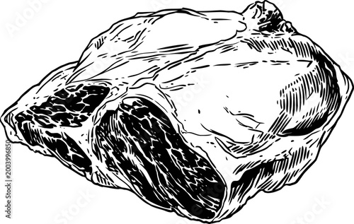 Raw beef cut illustration fresh meat slice with marbling texture and fat layers, detailed black ink drawing