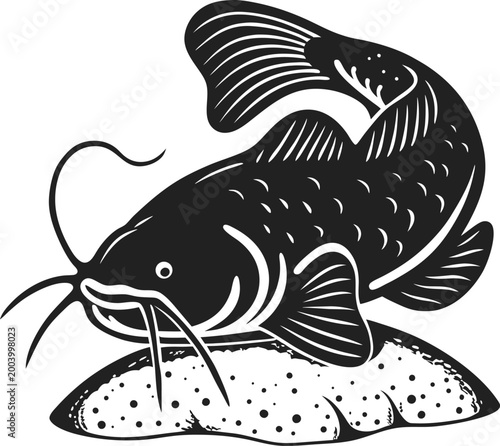 Catfish resting on riverbed sand freshwater fish with whiskers and fins illustration in black and white