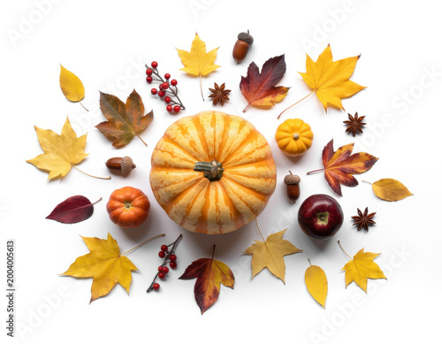 Autumn harvest composition with pumpkin, leaves, acorns, and berries on a white background