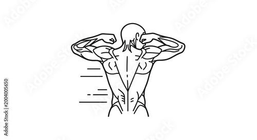 muscular back view line drawing on white background