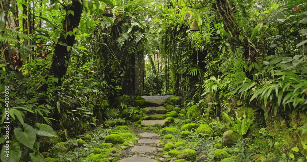 Naklejka premium Mossy stepping stones winding through a lush green tropical jungle garden in Bali, creating a serene and peaceful pathway surrounded by dense foliage and natural arch window. Nature background