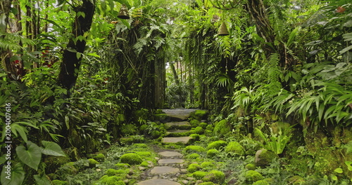 Mossy stepping stones winding through a lush green tropical jungle garden in Bali, creating a serene and peaceful pathway surrounded by dense foliage and natural arch window. Nature background