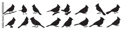 Schilderij op canvas cardinal birds silhouette white background vector illustration