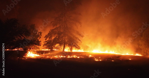 Wildfire burning forest at night, casting an orange glow across the dark landscape and creating thick smoke, representing an ecological disaster and climate change impact. Drone flight zoom in