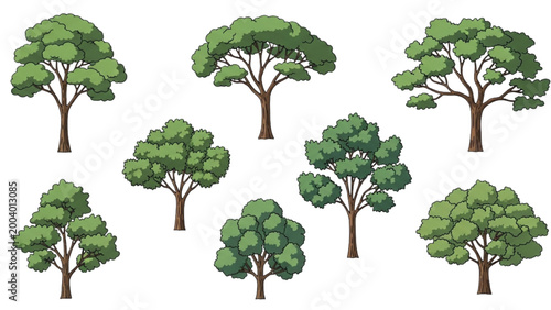 Various trees illustrated in 2D AutoCAD for landscape design