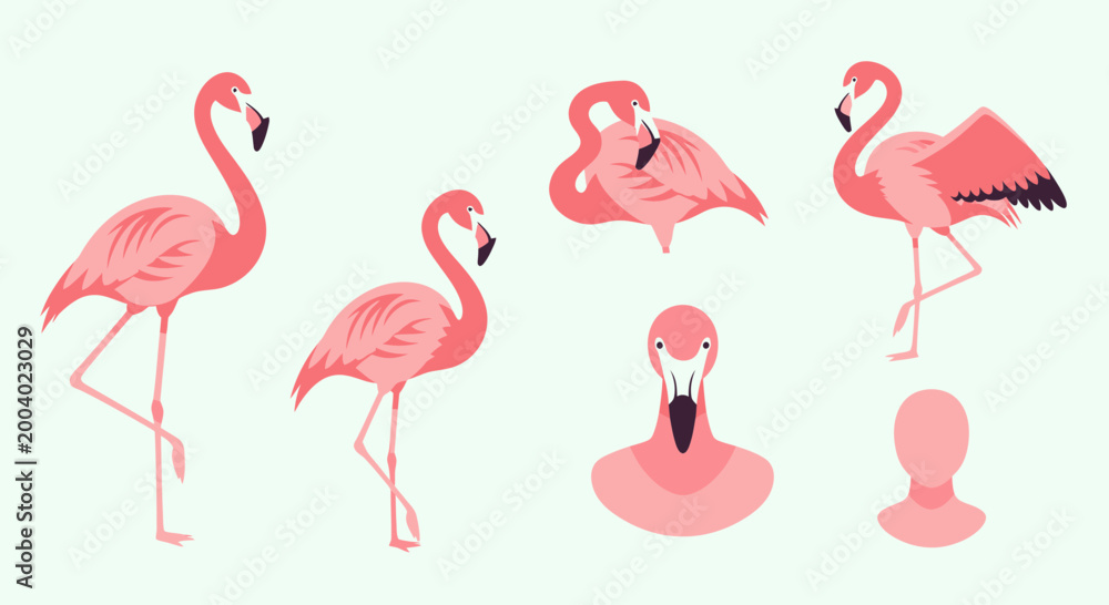 Obraz premium Pink Flamingo Bird Animal Illustrations.