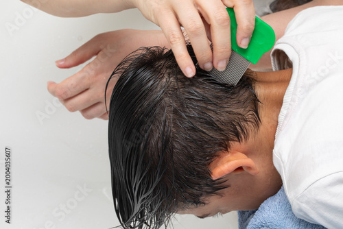 Adult hands combing child hair removing head lice