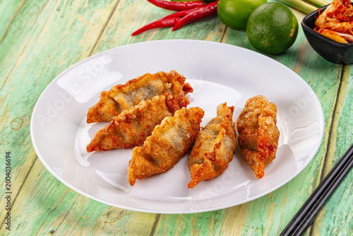 Asian fried stuffed dumplings gyoza