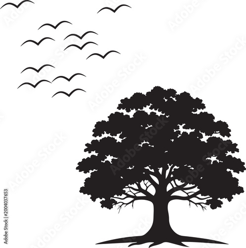 natural look idea design