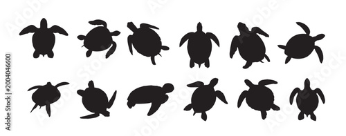 Bild auf Leinwand sea turtle silhouette on white background