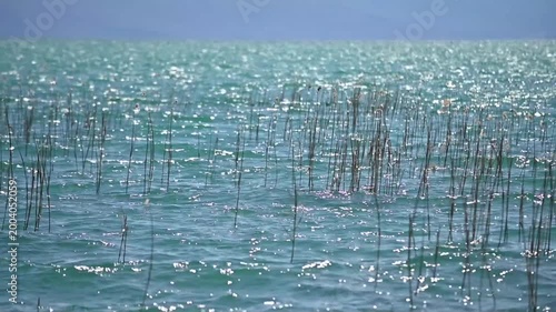 lake ohrid in north macedonia 