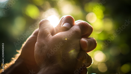 Close-up of clasped hands in prayer with sun flare through trees.