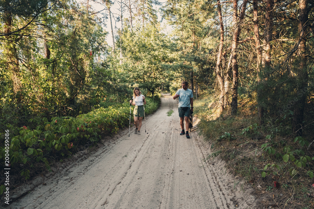 Fototapeta premium Couple hiking on a sandy forest road with Nordic walking poles on a sunny day