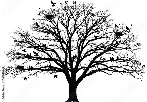 Schilderij op canvas Detailed Black Silhouette Bare Oak Tree with Birds and Branches for Nature, Goth