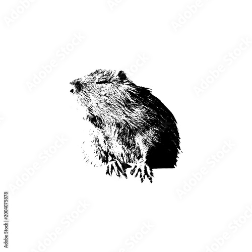 tylized Hamster Vector: High-Contrast Rodent Illustration with Textured Fur