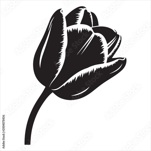 clean floral tulip silhouette vector isolated on white background