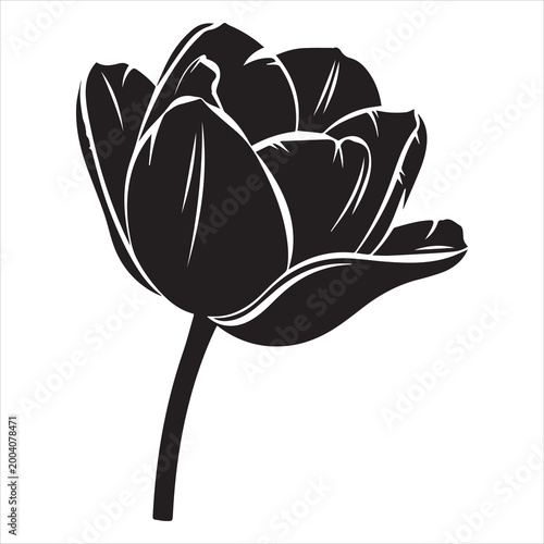 clean floral tulip silhouette vector isolated on white background