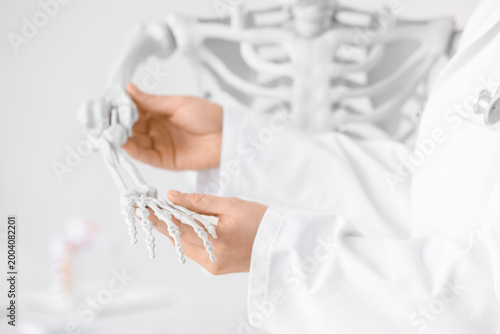 Fotografie Female doctor examining hand of human skeleton model in clinic, closeup