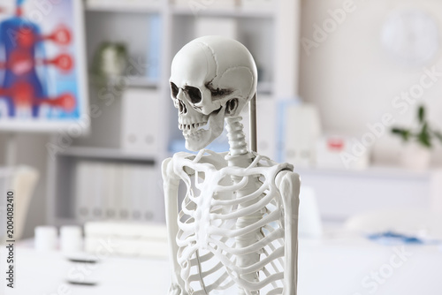 Human skeleton model in med...