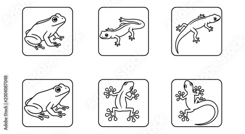 Collection of various amphibians and reptiles in outline style.