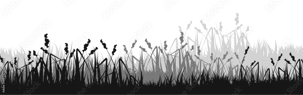 Fototapeta premium Meadow silhouette with grass, plants on plain. Panoramic summer lawn landscape with herbs, various weeds. Herbal border, frame element. Black horizontal banners. Vector illustration