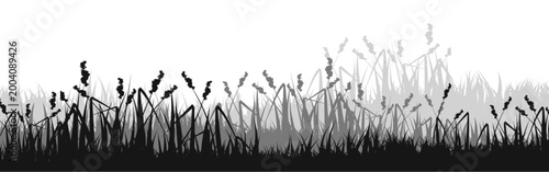 Meadow silhouette with grass, plants on plain. Panoramic summer lawn landscape with herbs, various weeds. Herbal border, frame element. Black horizontal banners. Vector illustration