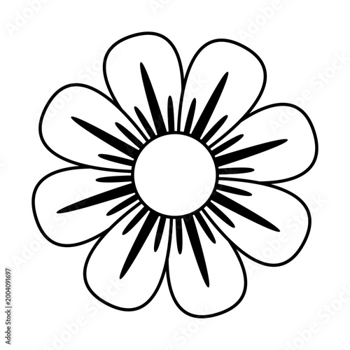 Daisy flowers icon vector. Daisy Illustration sign. Chamomile symbol. flowers logo.