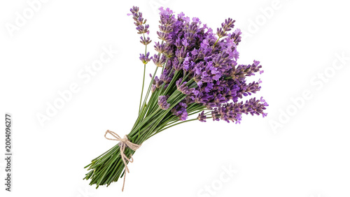 Canvastavla Lavender bouquet held together with twine showing bright purple flowers and gree