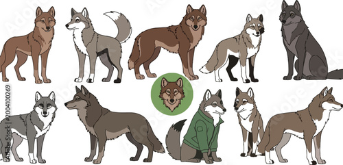 Wolf characters set realistic and cartoon wolves in different poses sitting standing and walking wildlife vector illustration collection