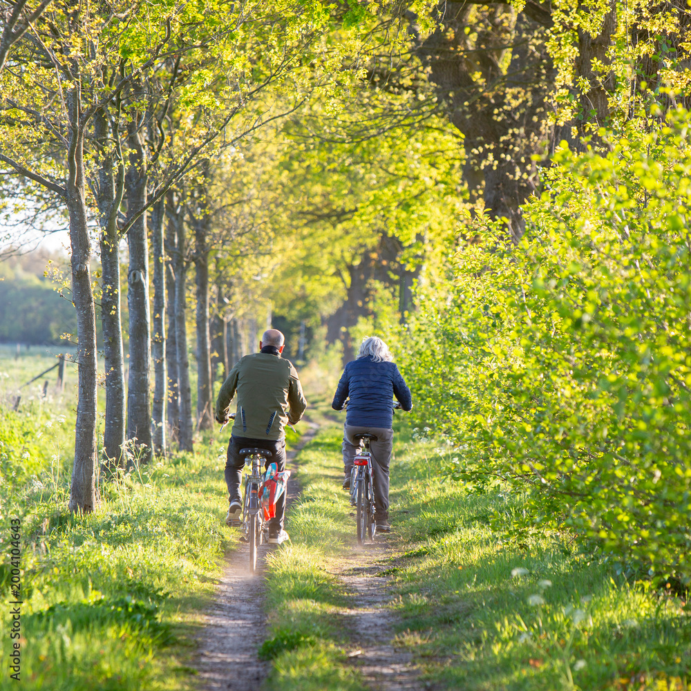 Naklejka premium couple on bicycle on dirt road between spring trees in the netherlands