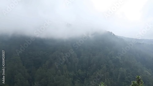 A misty morning unfolds over a lush mountain landscape as dense fog and low clouds drift through the green forest trees and deep valley woods