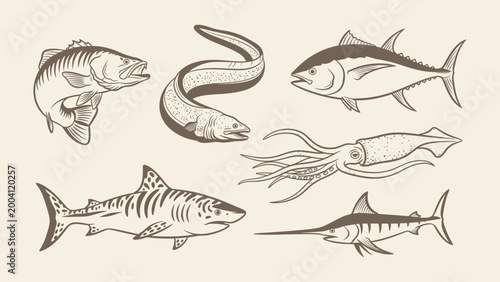 Vintage hand-drawn vector illustration of sea creatures including shark, tuna, eel, squid, and marlin. Ideal for seafood menus and nautical branding