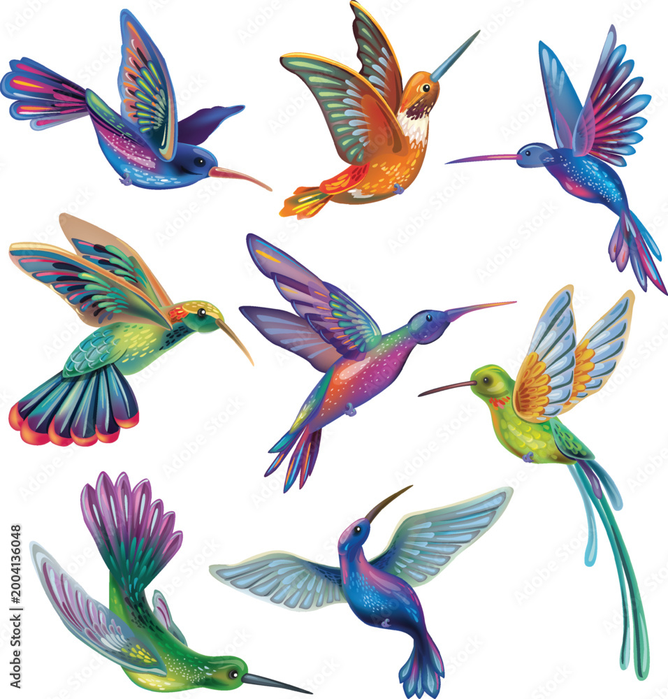 Obraz premium Vibrant tropical hummingbird in flight isolated on light background