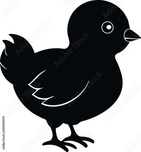 Photography Cute chick cartoon animal illustration