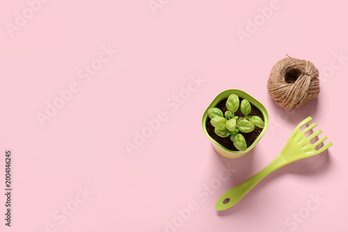 Pot with basil, gardening r...