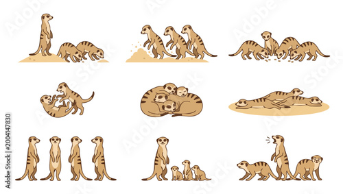 Fotografi Meerkat Set Vector Illustration, Cute Cartoon Meerkats Standing Digging and Play
