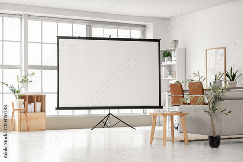 Portable blank projector sc...