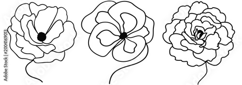 Flowers on a stem. Black and white floral drawing. Vector illustration for your design. Simple linear style.