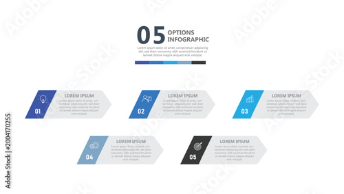 Modern 5 step infographic options template with clean business process layout and icon elements