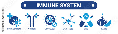 Immune System web banner icon vector illustration concept with icons of immune system, antibody, virus block, lymph node, zinc, and garlic.